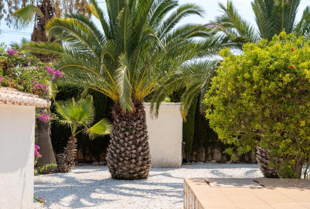 3 bed villa in Javea