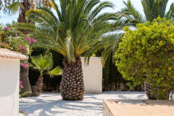 3 bed villa in Javea