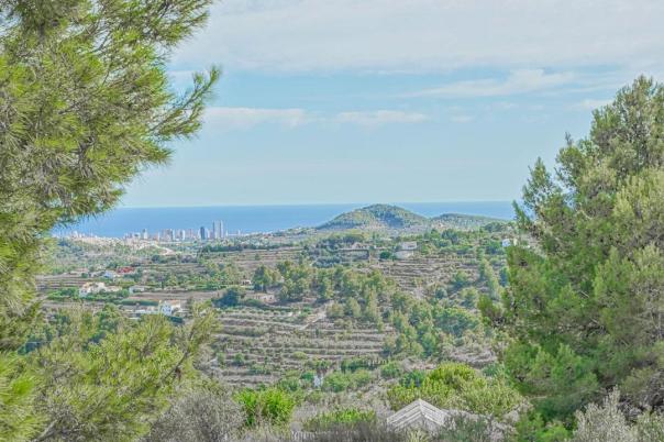 plot in Benissa