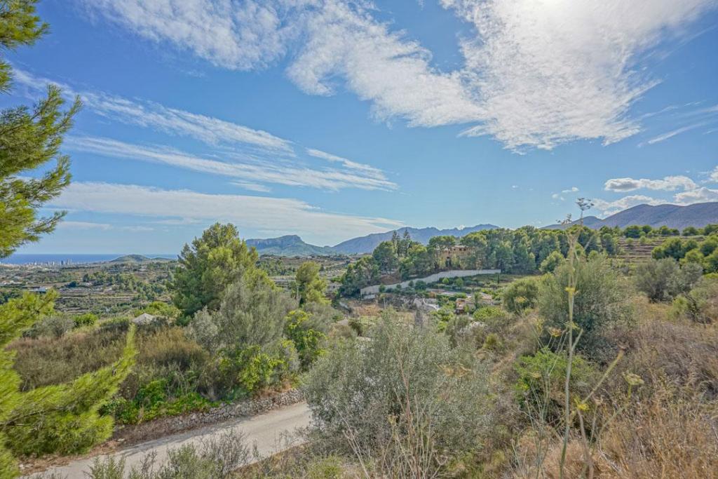 plot in Benissa
