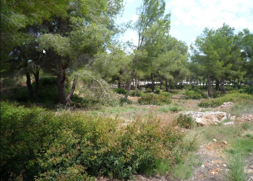 plot in Jávea