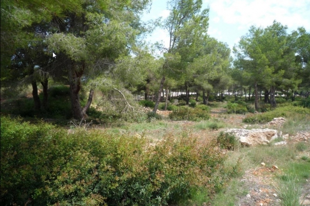 plot in Jávea