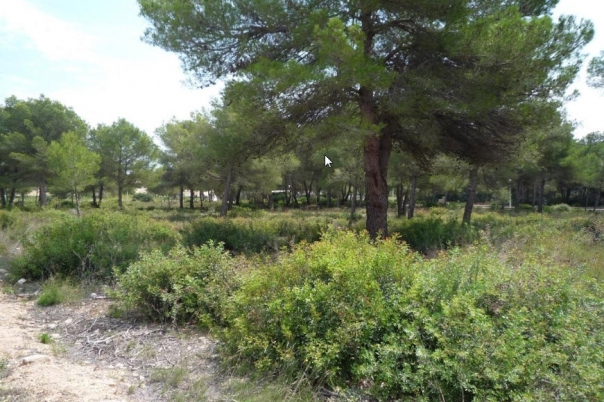 plot in Jávea