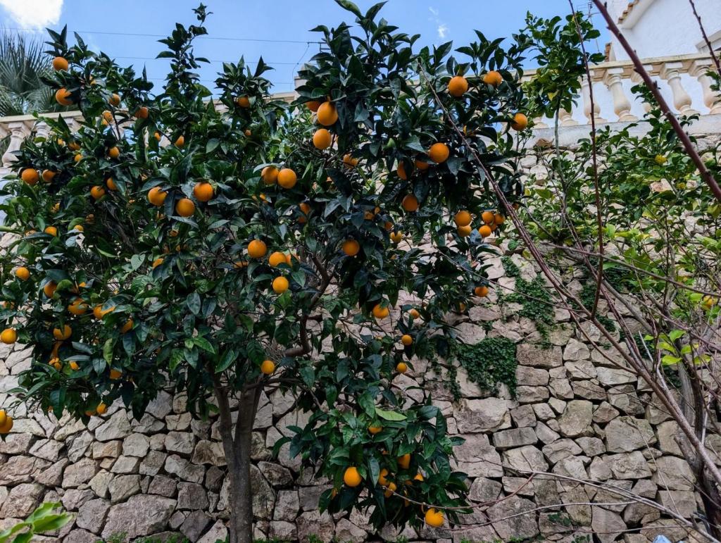 4 bed villa in Benissa