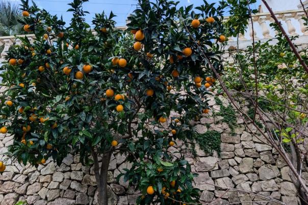 4 bed villa in Benissa