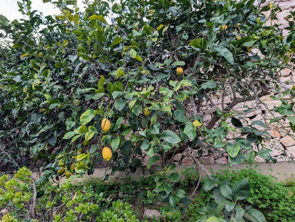 4 bed villa in Benissa