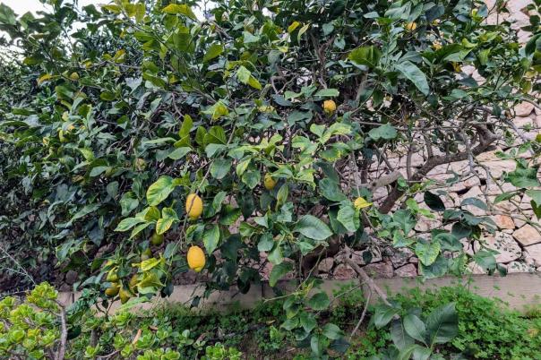 4 bed villa in Benissa