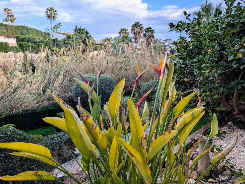 4 bed villa in Benissa