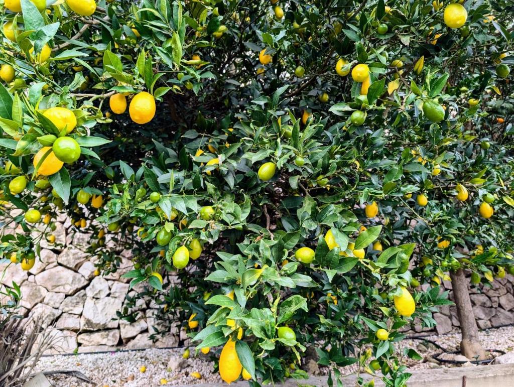 4 bed villa in Benissa