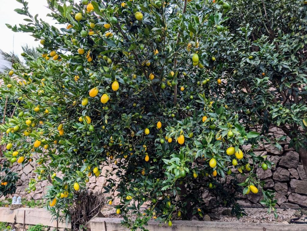 4 bed villa in Benissa