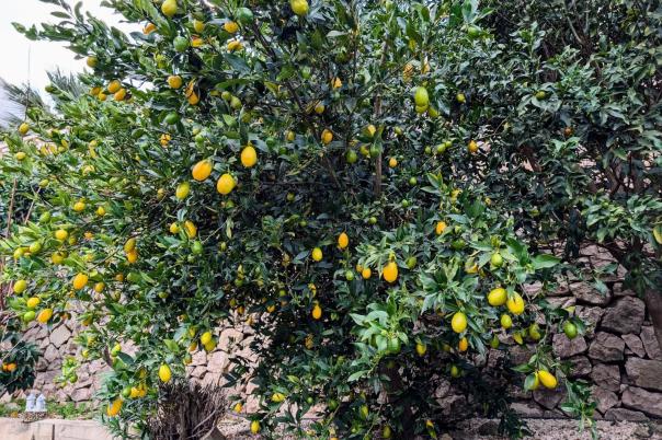 4 bed villa in Benissa