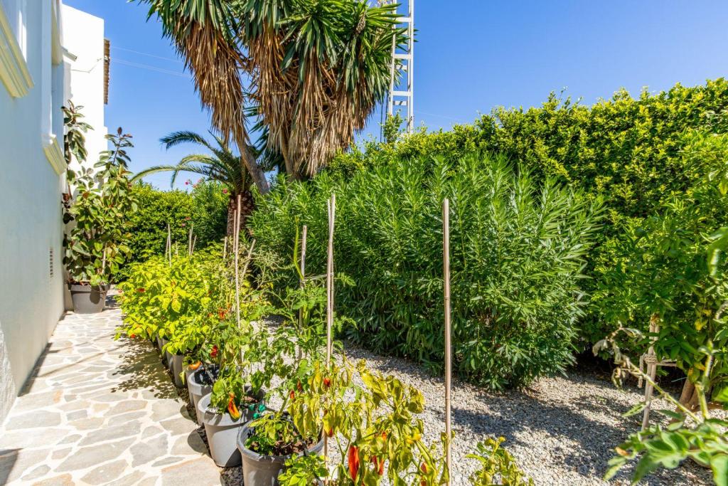 3 bed villas in Moraira