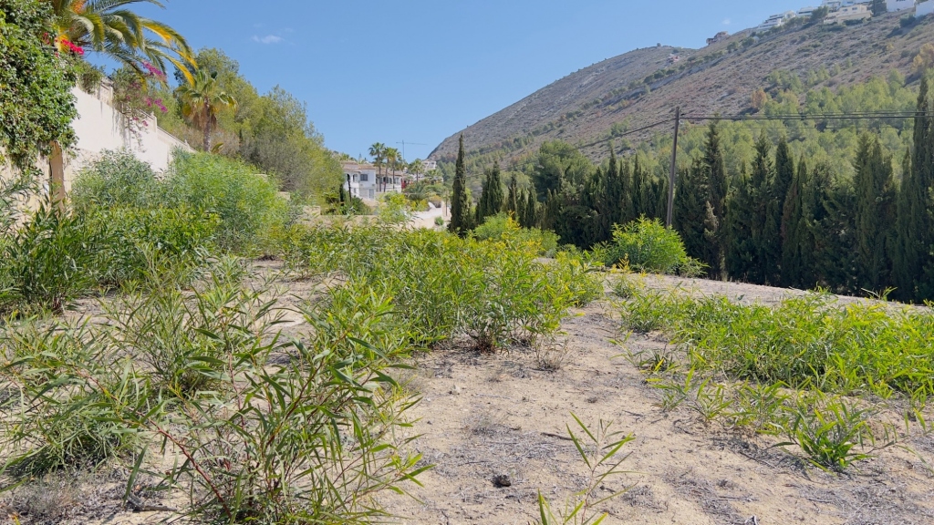 plot in Benitachell