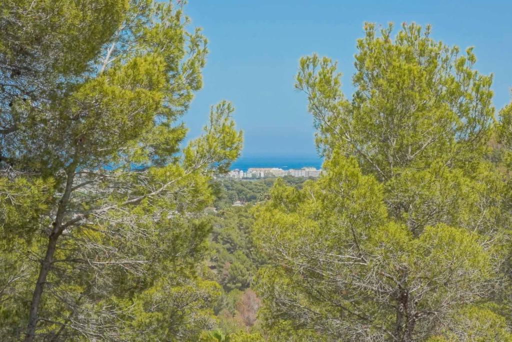 plot in Jávea