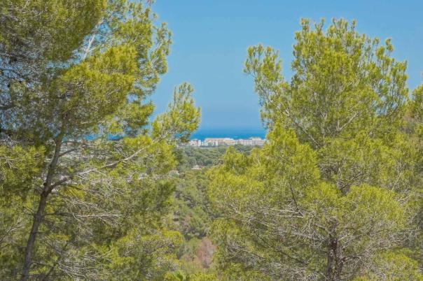 plot in Jávea