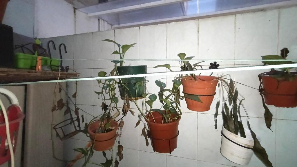 3 bed apartment in Elche/Elx