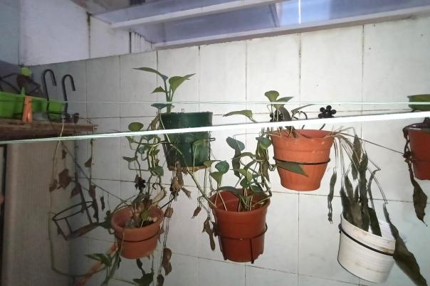 3 bed apartment in Elche/Elx