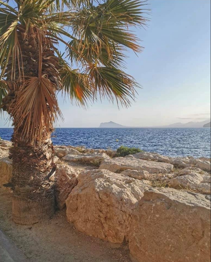Calpe Port & Marina
