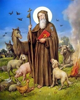 Fiestas in Javea: "San Antonio Abad" (January 2025)