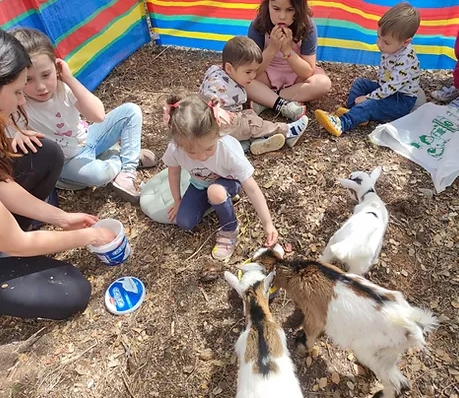 Euro Goat Trekkers - Guided walks with Goats on the Costa Blanca