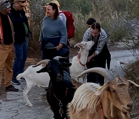 Euro Goat Trekkers - Guided walks with Goats on the Costa Blanca