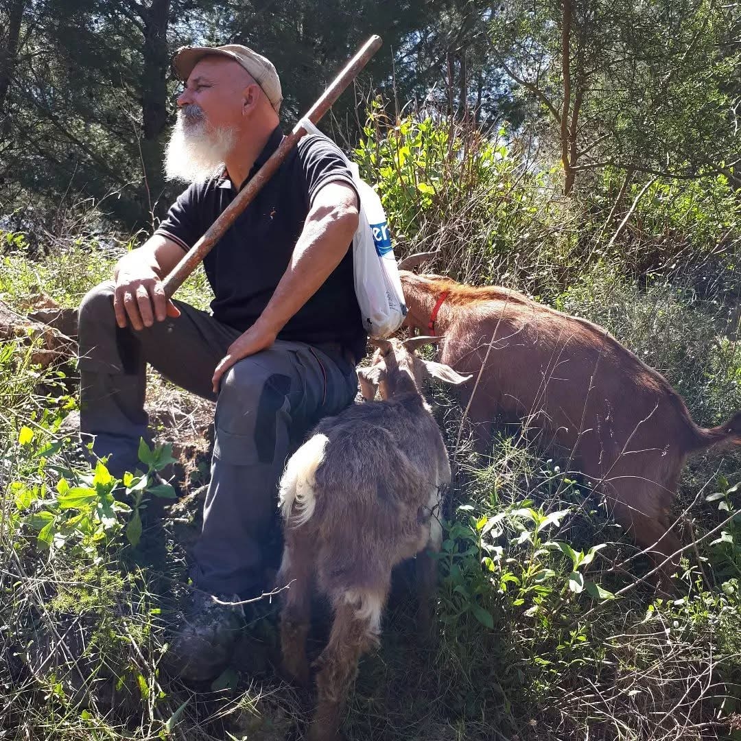 Euro Goat Trekkers - Guided walks with Goats on the Costa Blanca