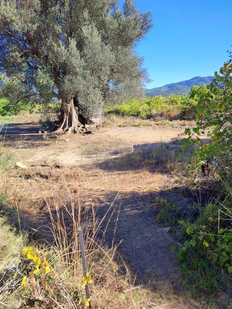 Guide to Javea Walks: Hiking Trails in Javea