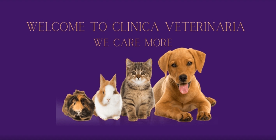 Clinica Veterinaria Dra. Mª Carmen Garcia - Vet in Javea