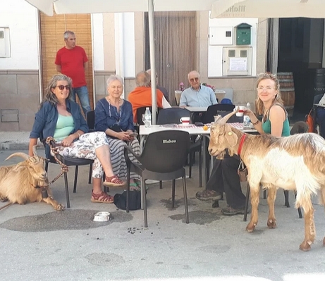 Euro Goat Trekkers - Guided walks with Goats on the Costa Blanca