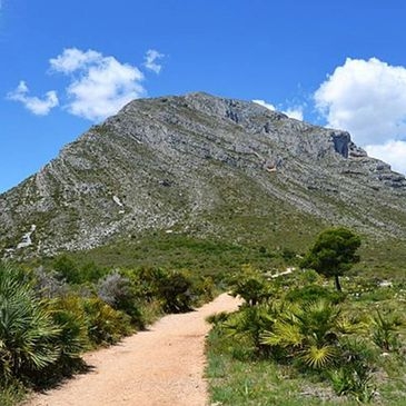 Javea Buggy Tours - Buggy & Quad Experiences Costa Blanca