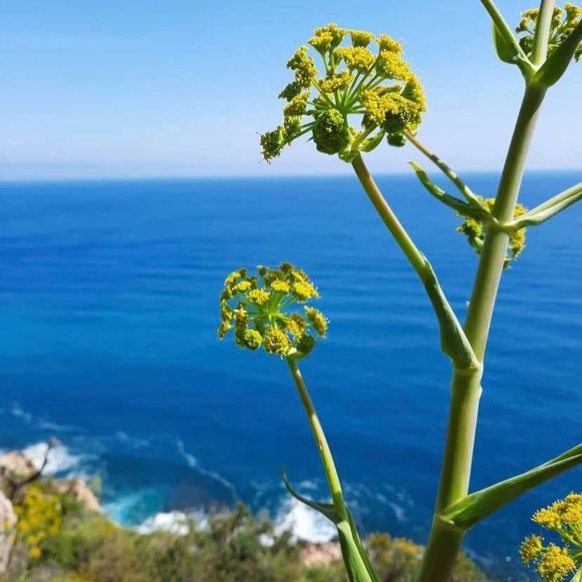 Visiting Cala Llebeig - Cumbre Del Sol Benitachell