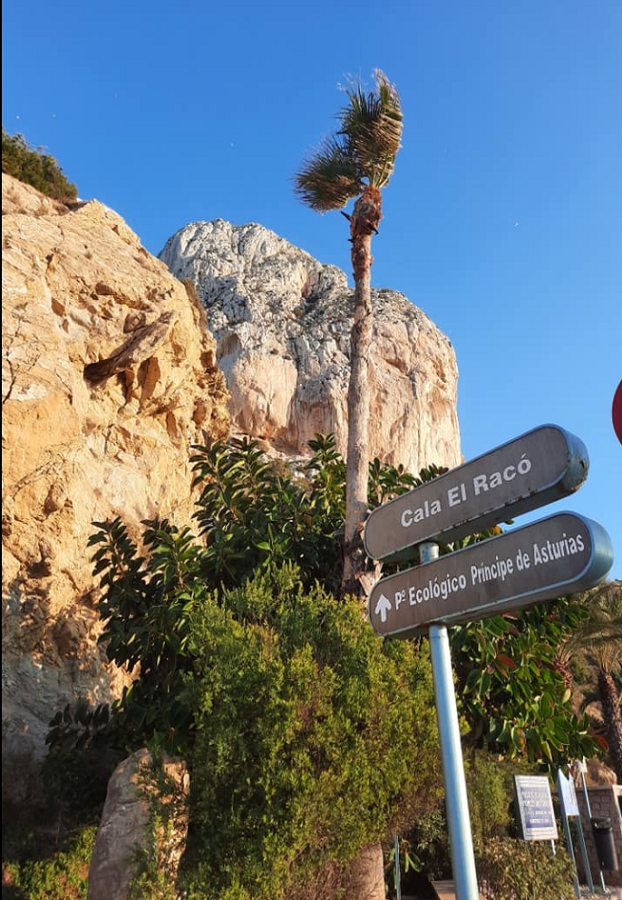 Calpe Port & Marina