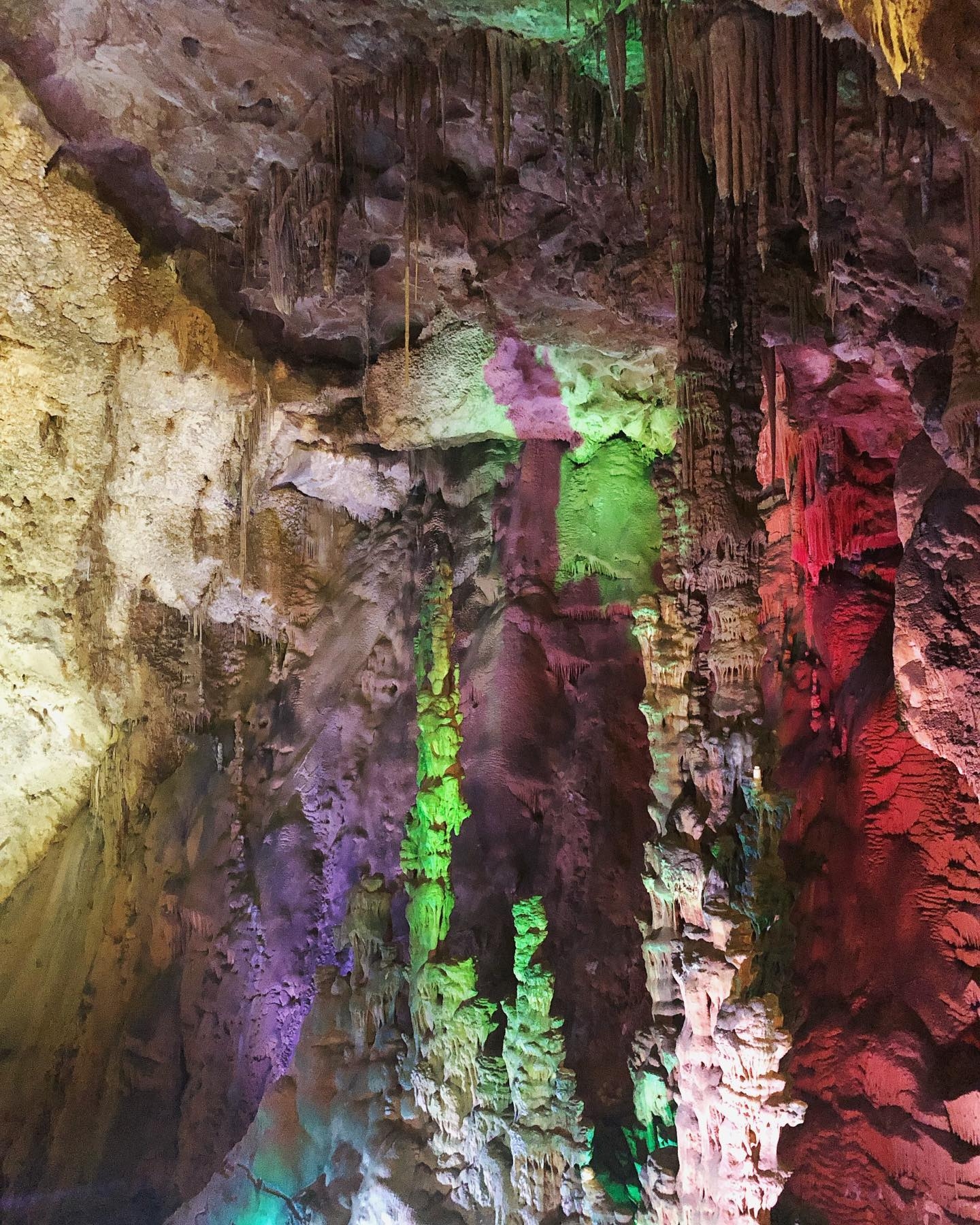 Cova dels Canelobres/Canelobre Caves