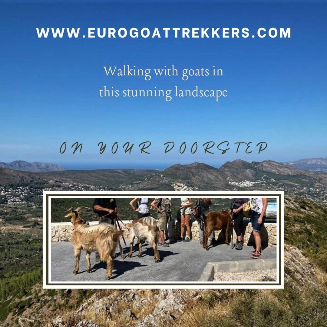 Euro Goat Trekkers - Guided walks with Goats on the Costa Blanca