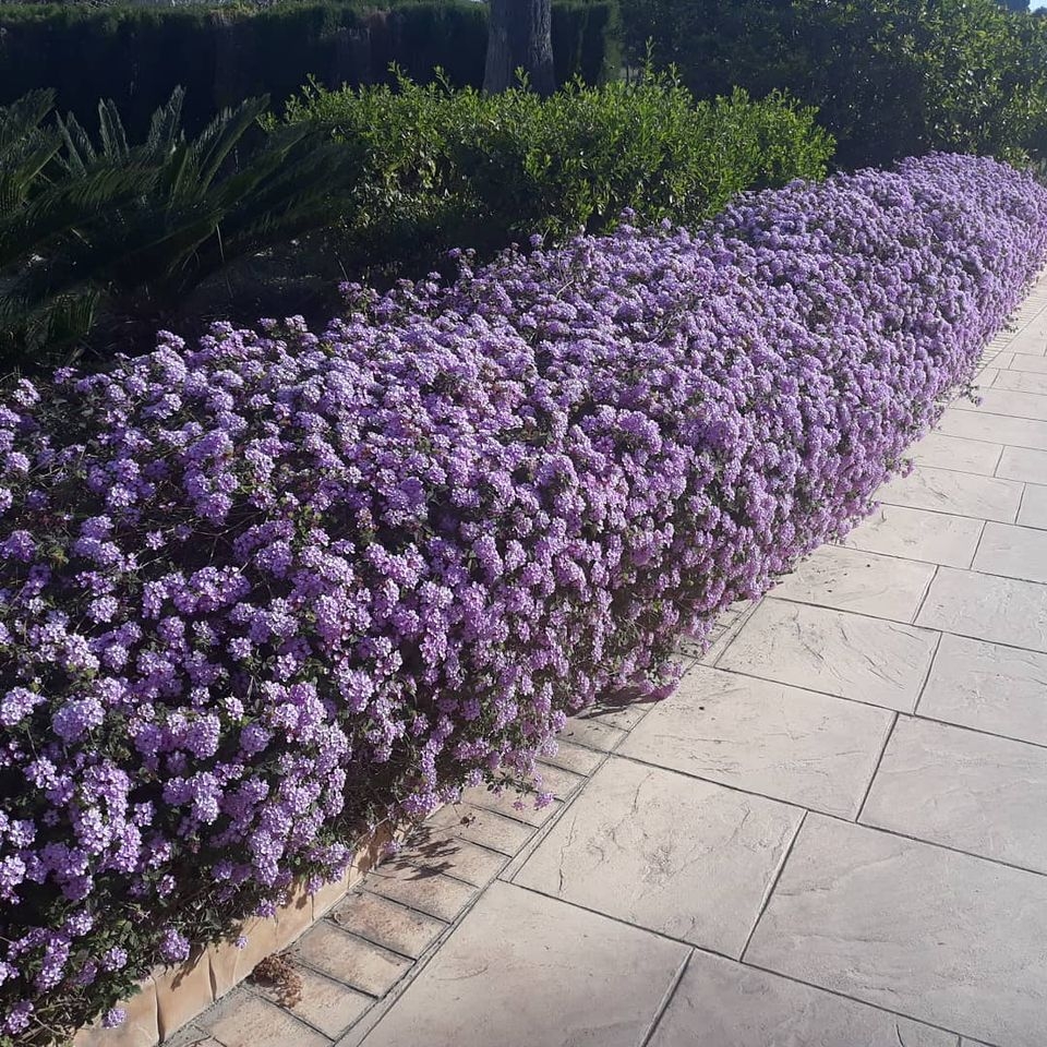 Charlesworth Gardens - Landscape Gardening & Garden Design