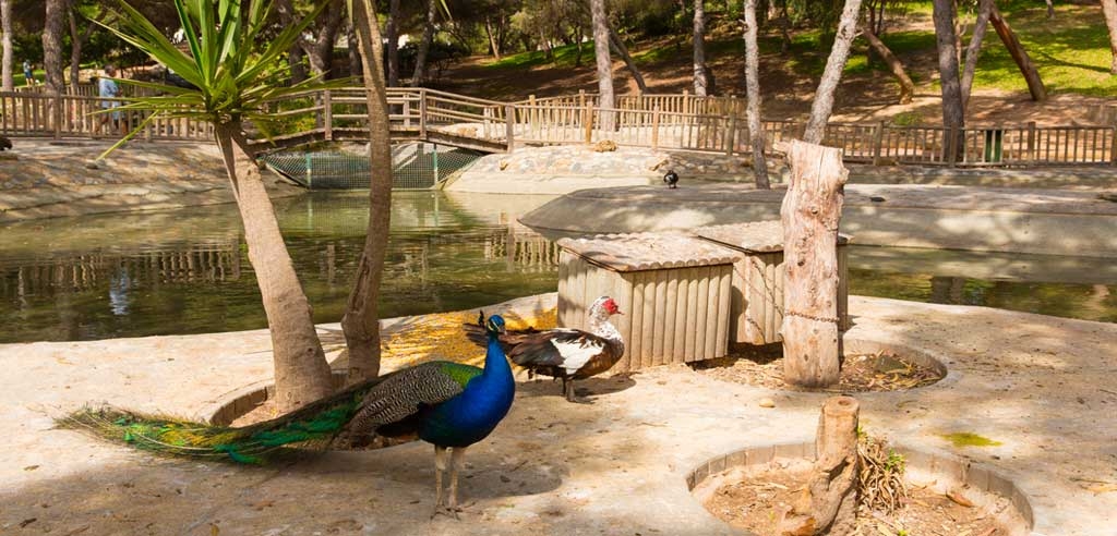 Discover Reina Sofía Park in Guardamar del Segura