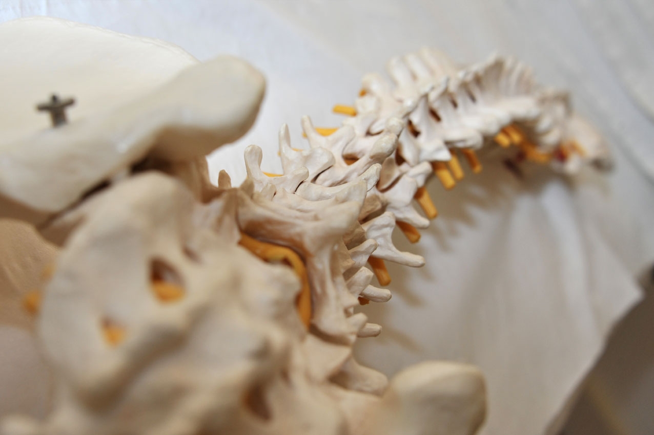 Anne den Ouden - Osteopaths Costa Blanca