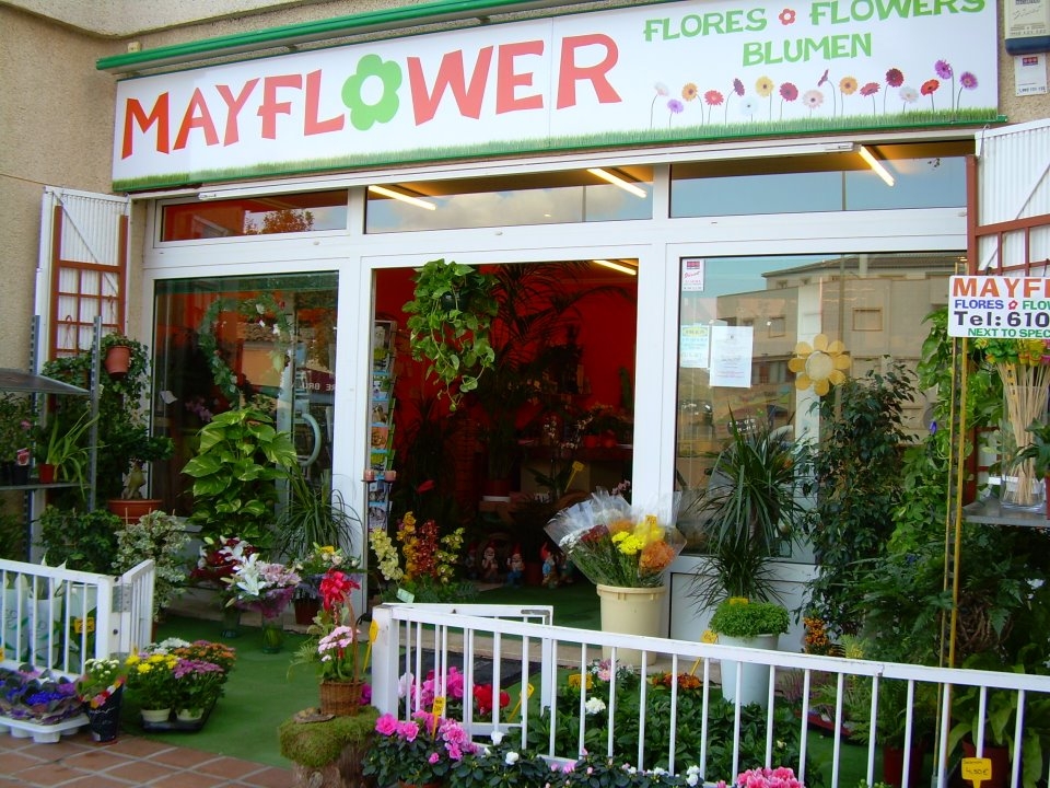 Mayflower Flores y Plantas - Florist - Floristeria Javea