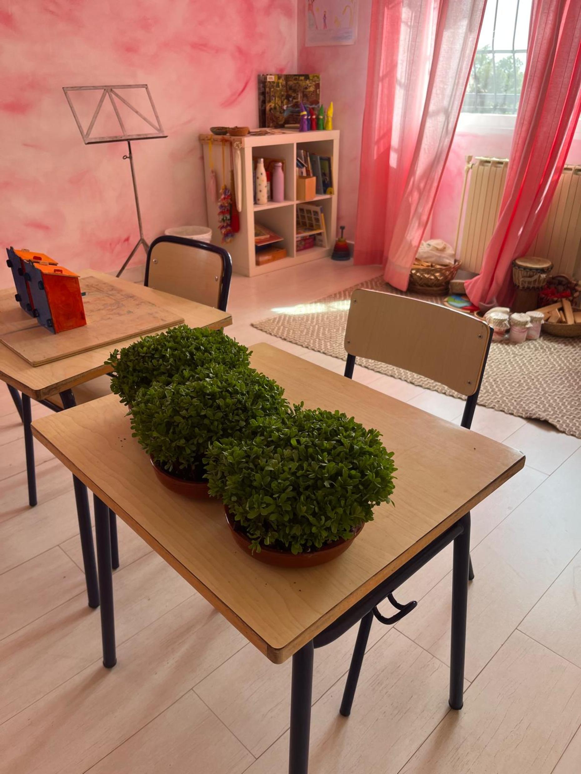 Escuela Internacional Waldorf Rudolf Steiner - International School Costa Blanca