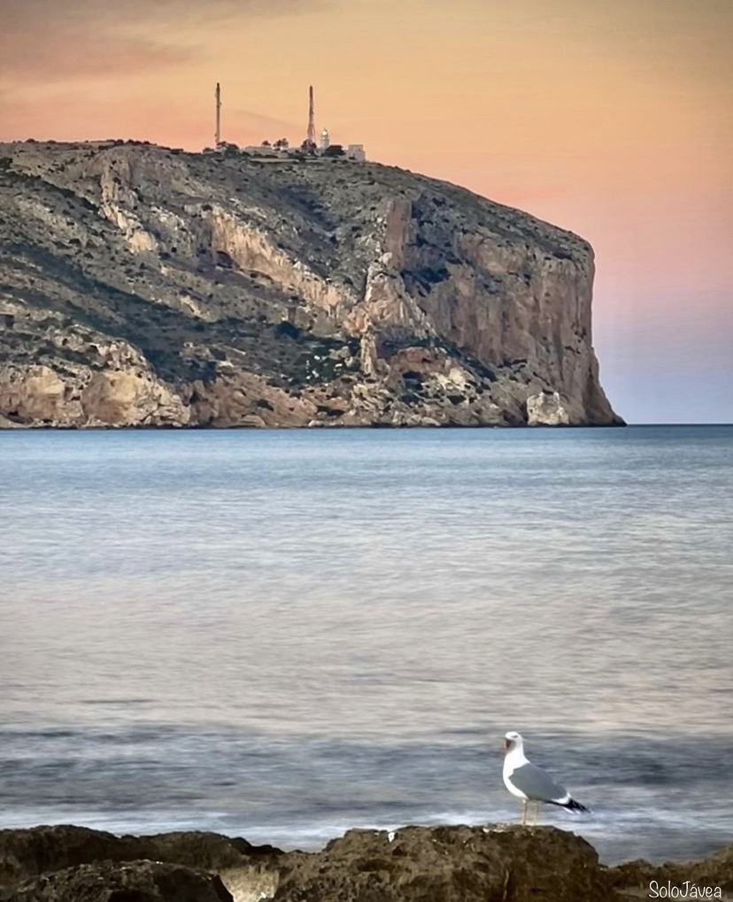 Playa Tango Javes